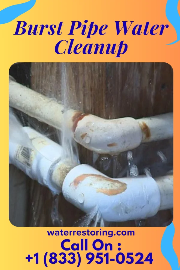 Burst Pipe Water Cleanup in Hawthorn, PA