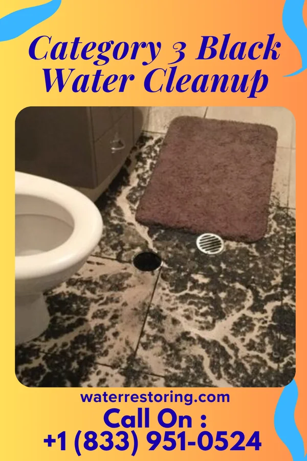 Category 3 Black Water Cleanup in Hawthorn, PA