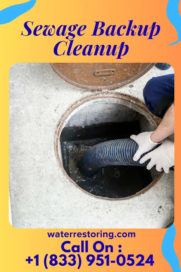 Sewage Backup Cleanup in Hawthorn, PA