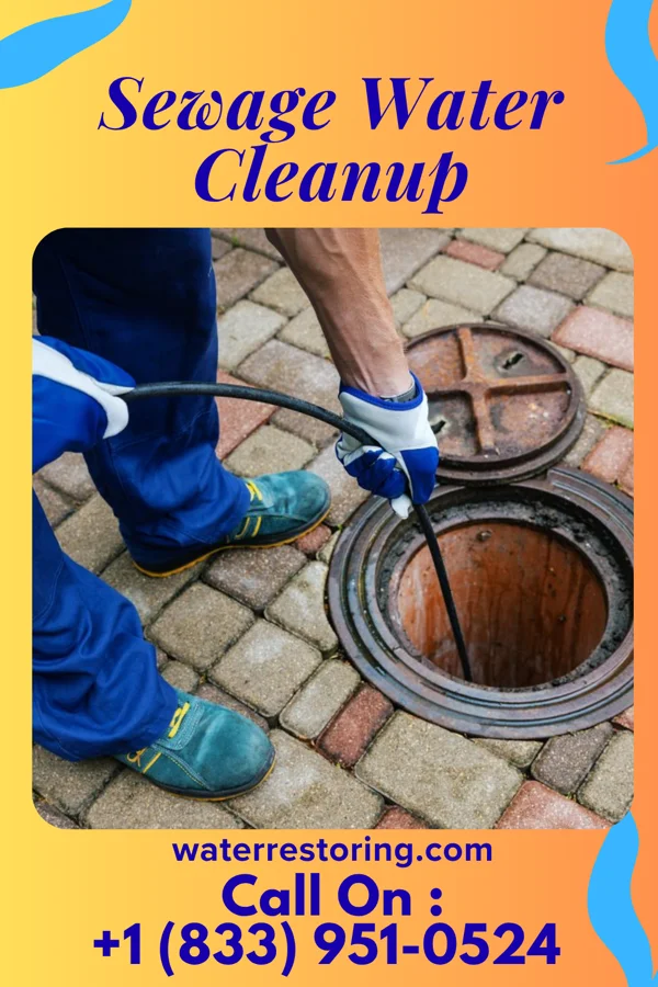 Sewage Water Cleanup in Hawthorn, PA